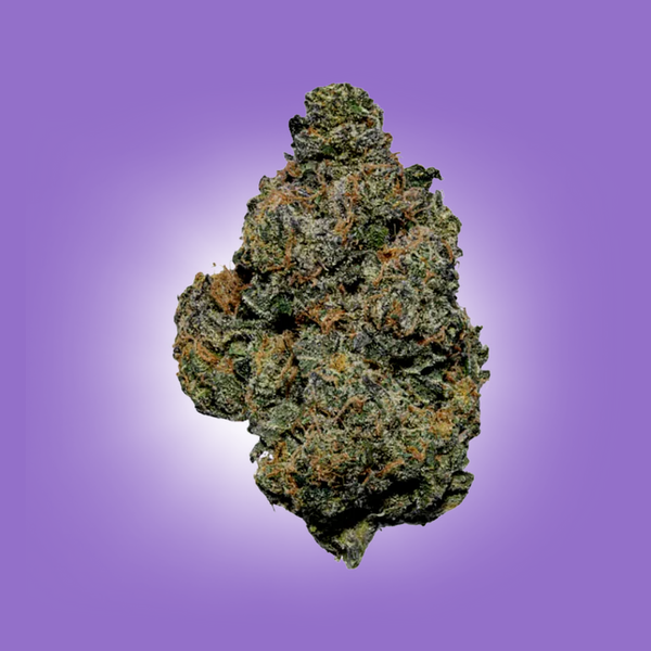 Top Shelf 1g Flower (20ct)