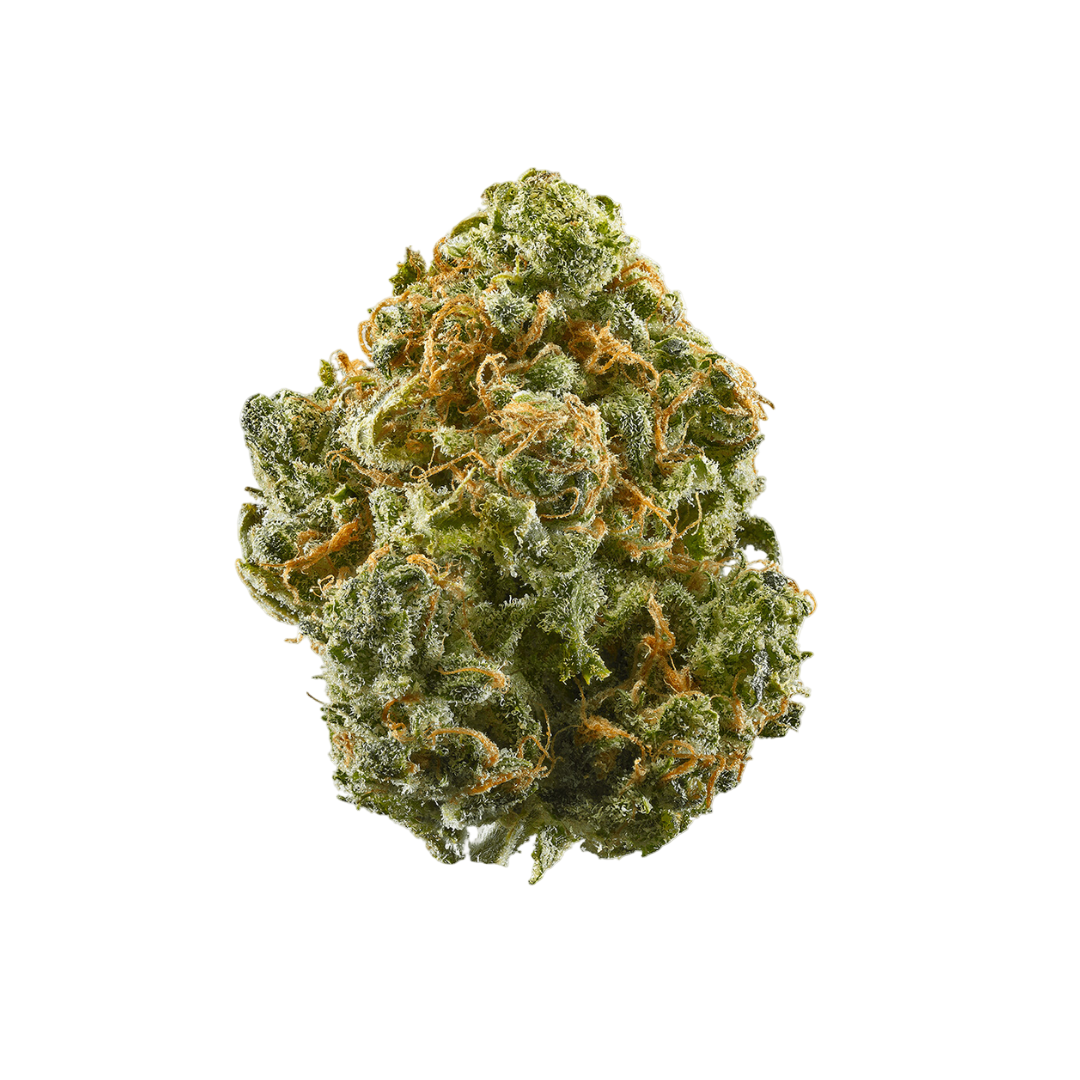 Top Shelf 1g Flower (20ct)